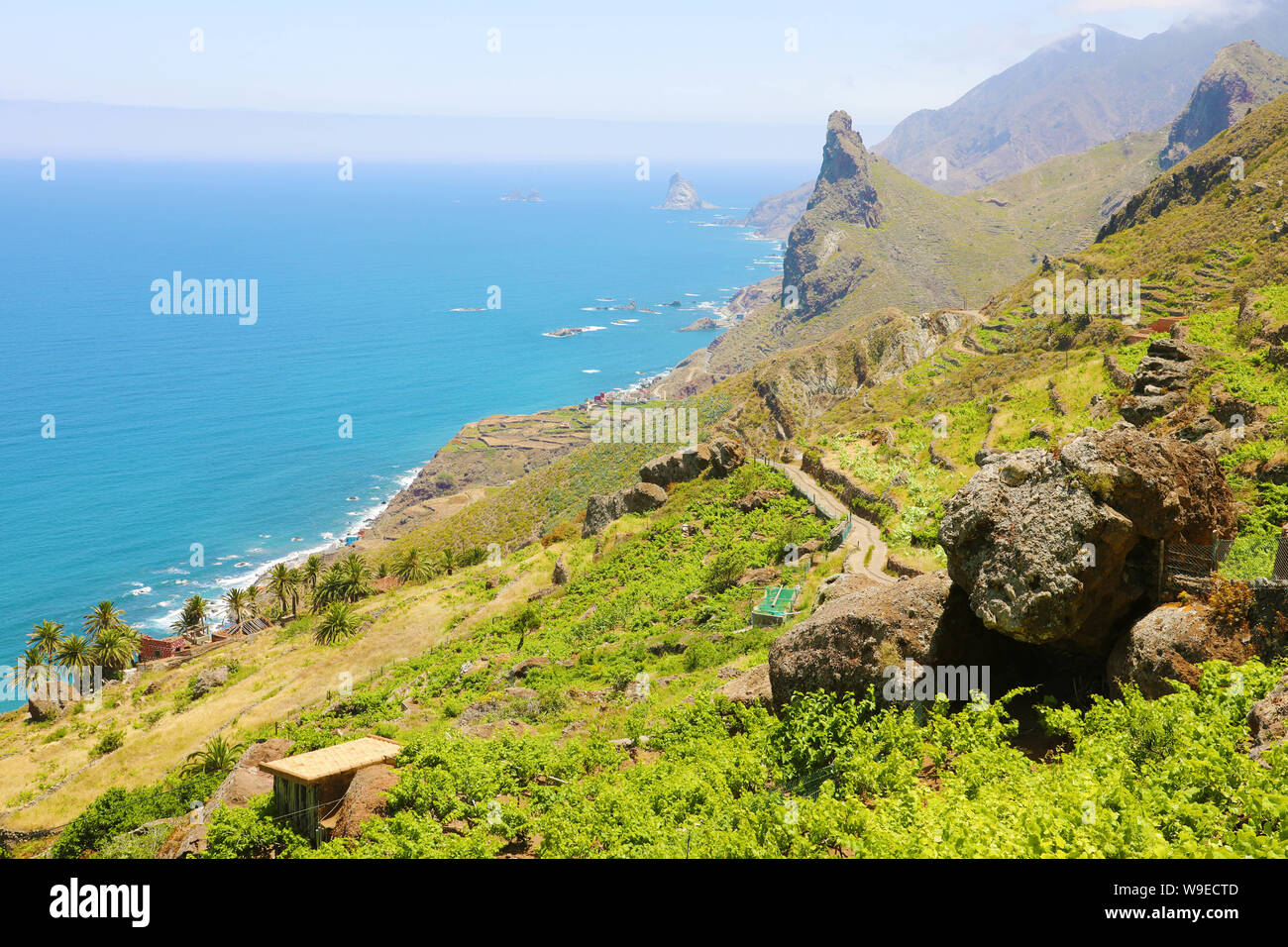 Bellissimo Parco Rurale di Anaga con rock mountains seascape natura vegetazioni turismo in Tenerife. Foto Stock