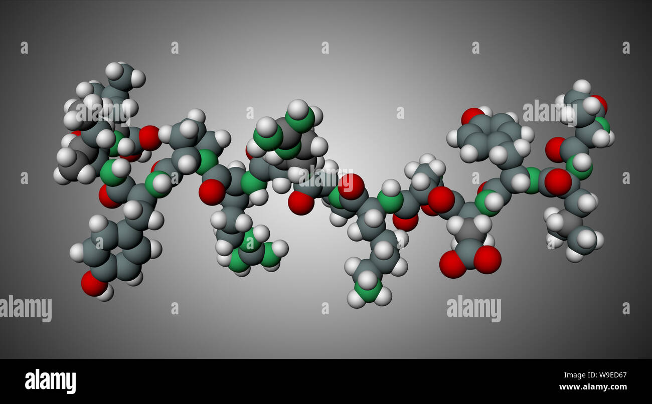 La neurotensina neurotrasmettitore molecola peptidica in DPC micelle. Essa esercita più funzioni biologiche nel sistema nervoso centrale e periferico. S Foto Stock