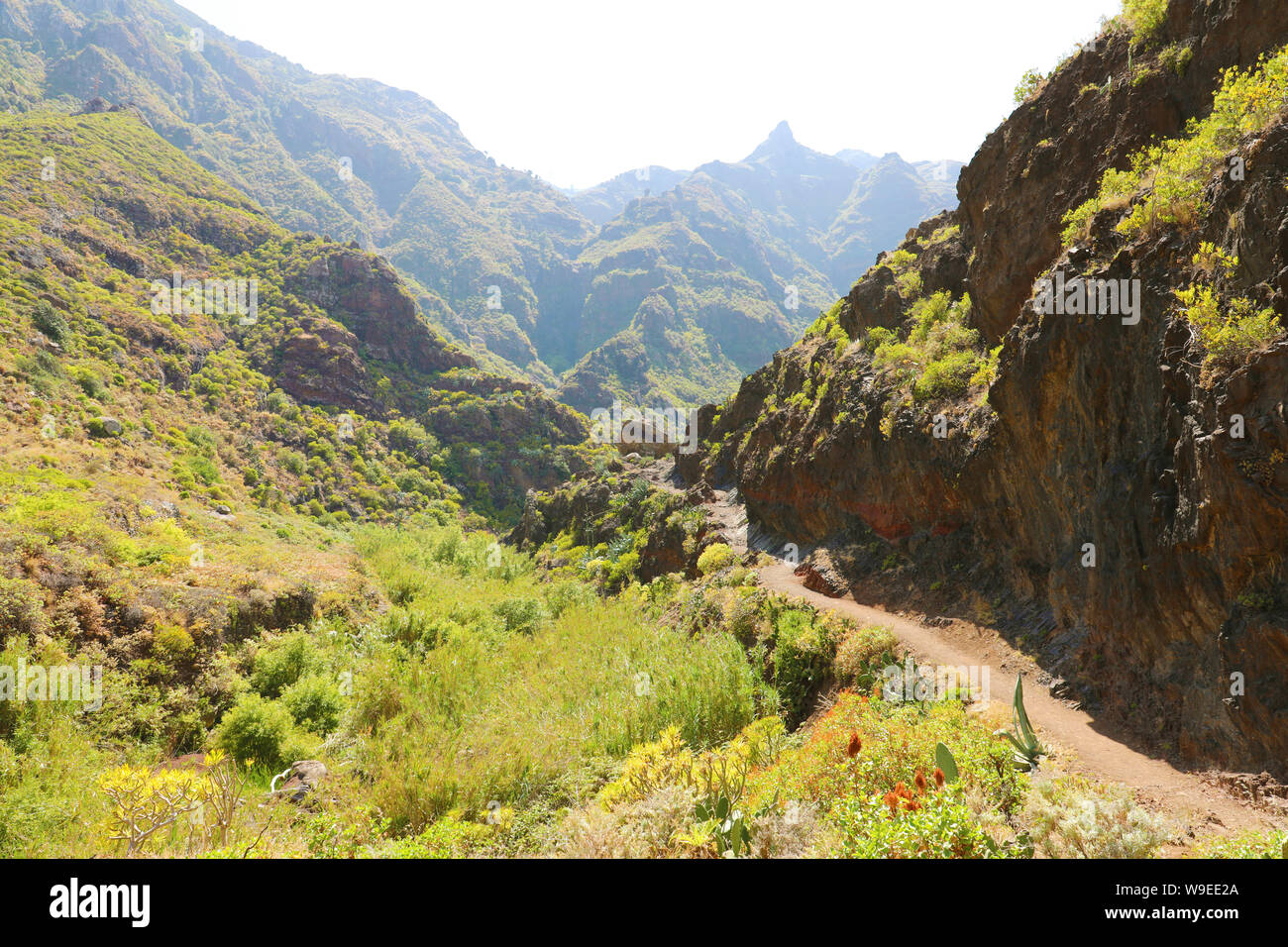 Difficile sentiero di montagna a nord di Tenerife, Spagna. Foto Stock