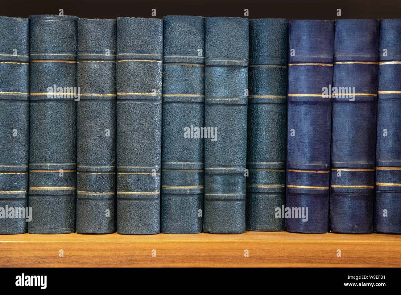 Fila di vecchia pelle vintage libri su uno scaffale. Foto Stock