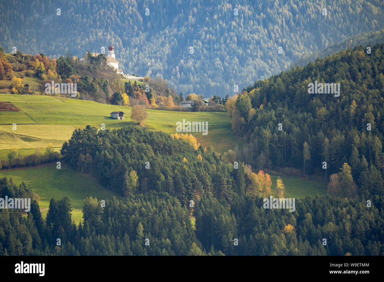 Colore di autunno nelle Dolomiti vicino a Chiusa in Alto Adige. Foto Stock