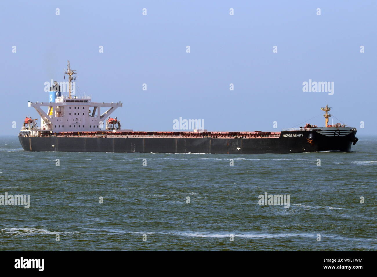 Il bulk carrier Andros bellezza raggiunge il porto di Rotterdam il 22 maggio 2019. Foto Stock