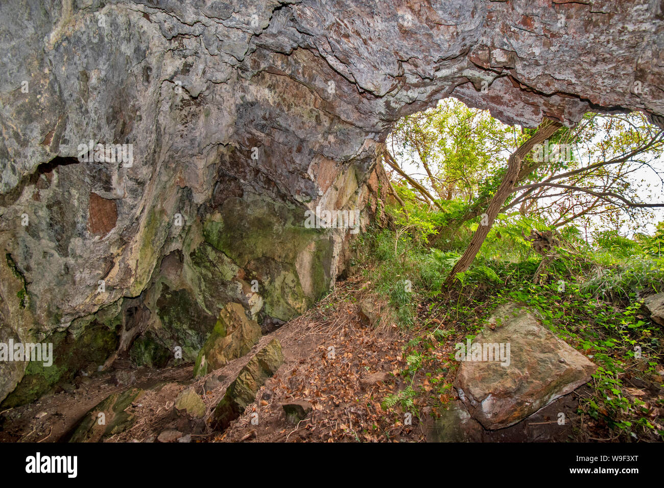 ROSEMARKIE Black Isle Ross and Cromarty Scozia interno di ampia grotta guardando verso l'entrata Foto Stock