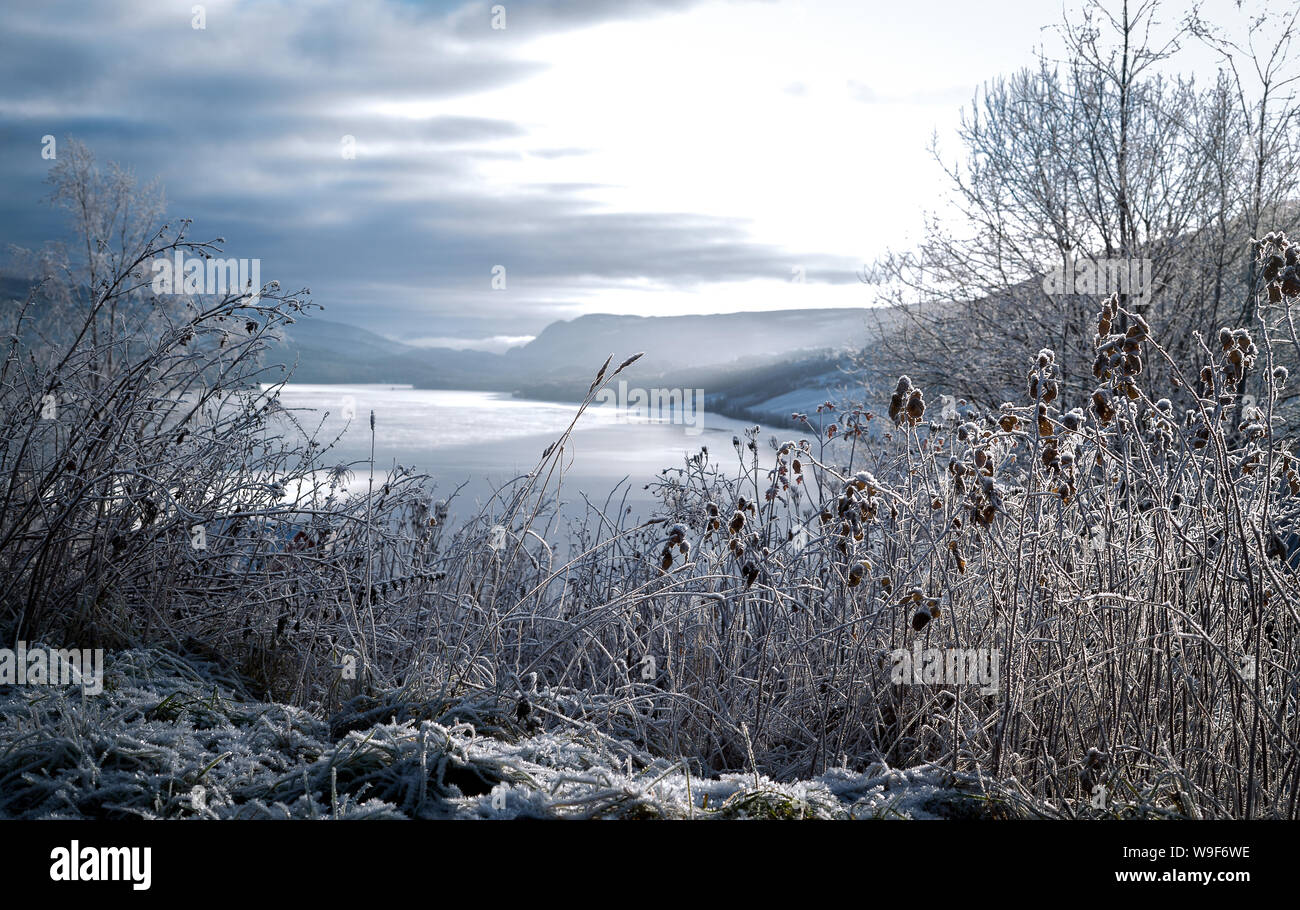 Smerigliato paesaggio invernale in temperatura fredda con ghiaccio e gelo trasformata per forte gradiente sul lago, rime su croccante, congelate le foglie e i monti all'orizzonte al tramonto Foto Stock