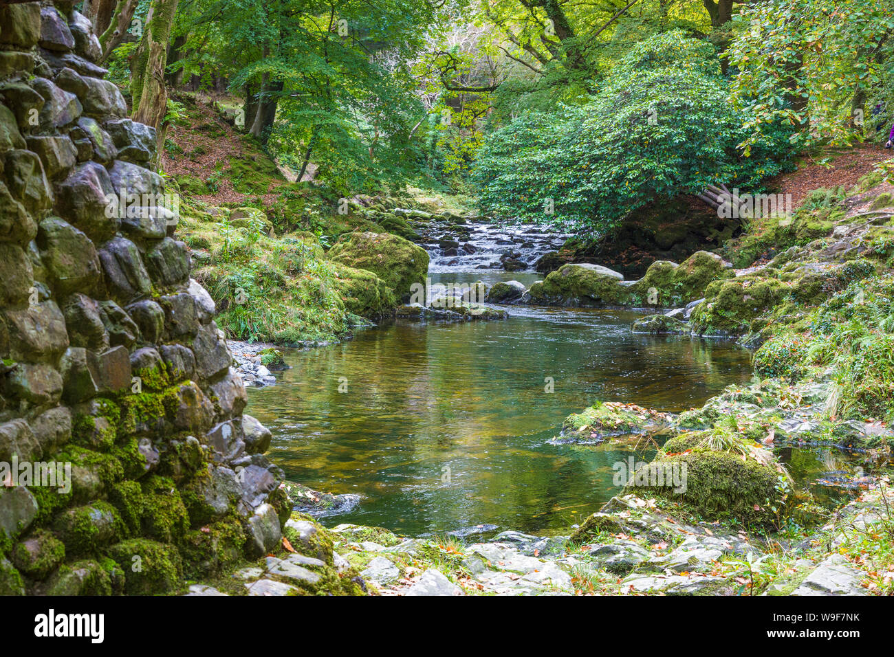 Tollymore Forest Park, Newcastle, Co Down, Irlanda del Nord Foto Stock