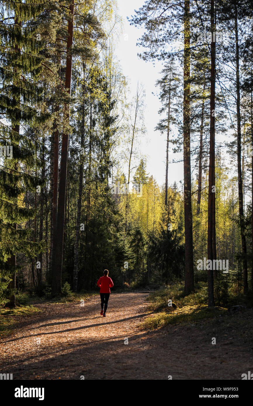 Donna di jogging sul percorso di sporcizia nei boschi contro il sole di setting di Järvenpää, Finlandia Foto Stock