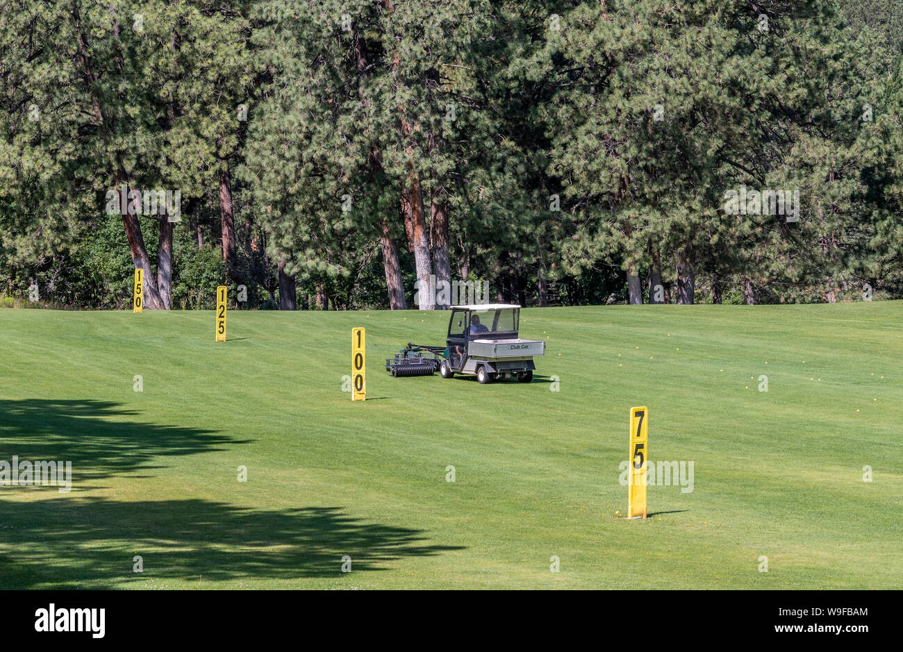 Selettore di gamma, la pallina da golf picker veicolo sul breve driving range di prelevare, raccogliendo palline da golf. Foto Stock