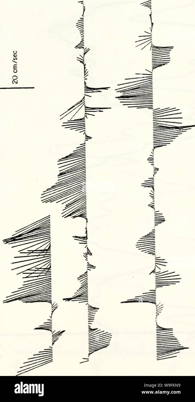 Immagine di archivio da pagina 51 del misuratore di corrente i dati da l. Misuratore di corrente data dalla pendenza acque al largo della California centrale, 25 Luglio 1978 - 1 giugno 1980 currentmeterdata00Bird Anno: 1984-07 ( 2 - un &lt; O Z &lt; un UJ o z z o M ►- &lt; mi- VI z UJ un UJ a: UJ i -1 u I -UJ una o o ID £ o o 44 Foto Stock