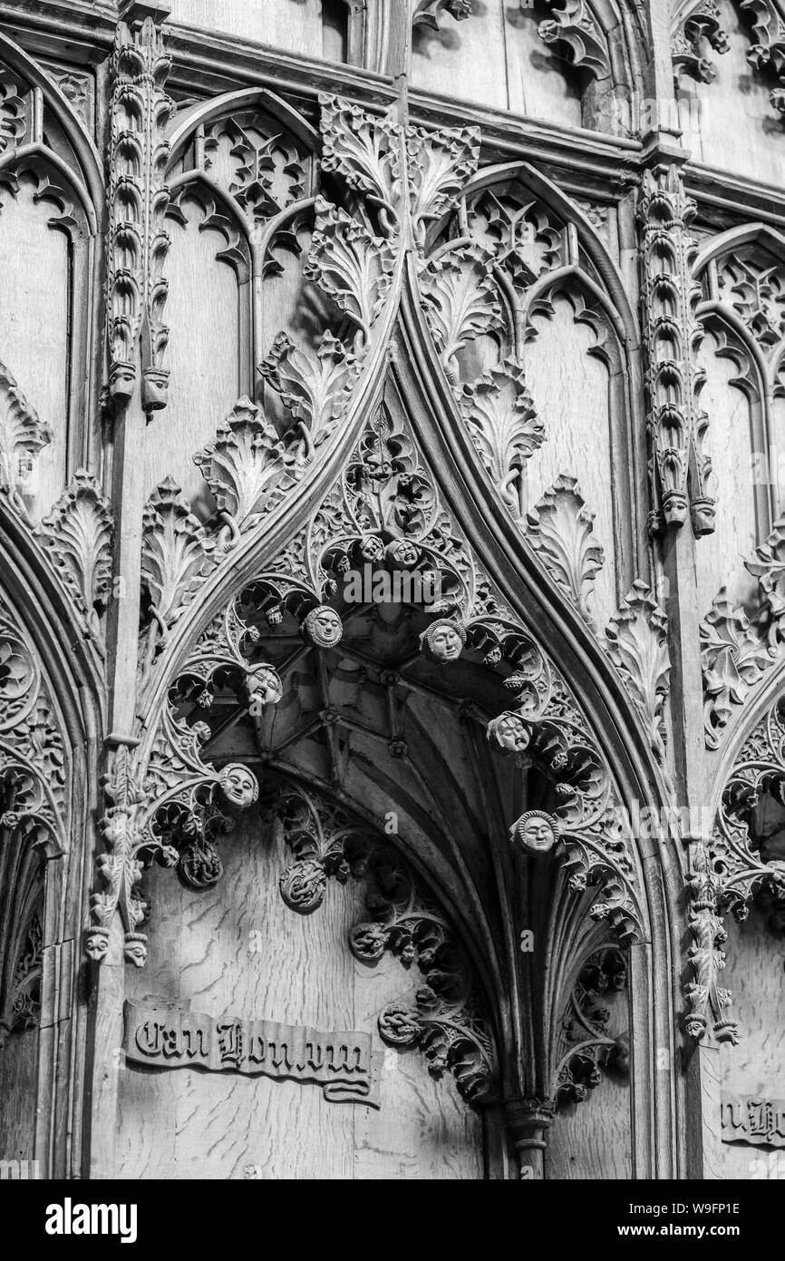 Norwich Cathedral Foto Stock