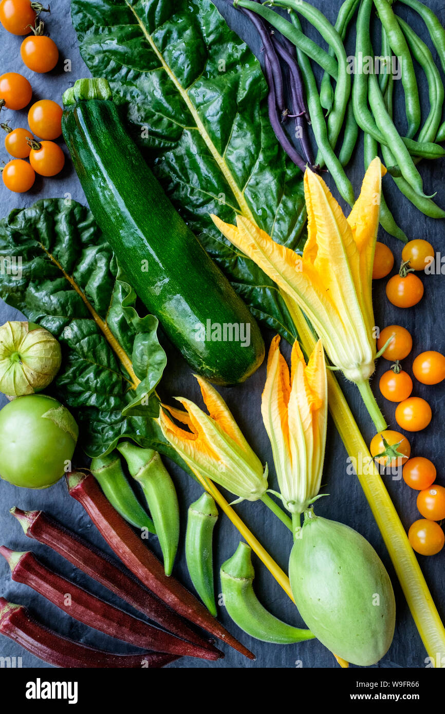 Prodotti freschi dell'orto: zucchine, fiori di zucca, okra, tomatillos, pomodori, viola e verde fagiolini e bietole. Foto Stock
