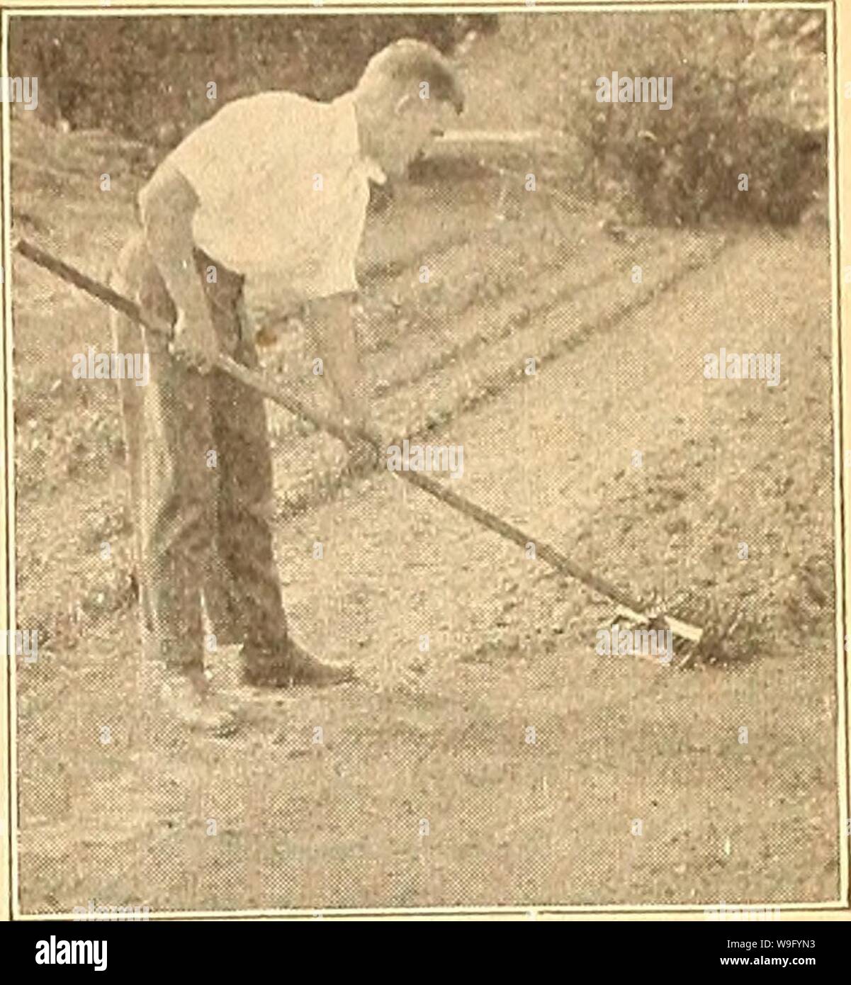 Archivio immagine dalla pagina 84 della Currie's farm e giardino annuale. Currie's farm e giardino : annuale Primavera 1925 cinquantesimo anno curriesfarmgarde19curr 8 Anno: 1925 ( apertura solchi wlth aratro. La profondità e la larghezza n. 107 Pianeta Jr. Seven-Tooth cavallo la zappa e coltivatore. Prezzo, con nevsr ruota in acciaio, $16.50; senza ruota, $14.50. Attrezzare- ment: Sei 3x8-LN. coltivatore denti; uno 4-8 pollici cul- tivator dente. 4 pollici di pollice a 7 pollice 9 pollice per coppia coltivatore denti. Prezzo 40c ciascuna. Lro TlioroiiKh|>:ir.-sizione tor Seeoin};. FIRE FLY GIARDINO ARATRO. Peso imballaggio, 14 libbre 1-=.I,irJ4un prezzo, $4,75. Giardino Fire-Fly Foto Stock Archivio immagine dalla pagina 84 della Currie's farm e giardino annuale. Currie's farm e giardino : annuale Primavera 1925 cinquantesimo anno curriesfarmgarde19curr 8 Anno: 1925 ( apertura solchi wlth aratro. La profondità e la larghezza n. 107 Pianeta Jr. Seven-Tooth cavallo la zappa e coltivatore. Prezzo, con nevsr ruota in acciaio, $16.50; senza ruota, $14.50. Attrezzare- ment: Sei 3x8-LN. coltivatore denti; uno 4-8 pollici cul- tivator dente. 4 pollici di pollice a 7 pollice 9 pollice per coppia coltivatore denti. Prezzo 40c ciascuna. Lro TlioroiiKh|>:ir.-sizione tor Seeoin};. FIRE FLY GIARDINO ARATRO. Peso imballaggio, 14 libbre 1-=.I,irJ4un prezzo, $4,75. Giardino Fire-Fly Foto Stock