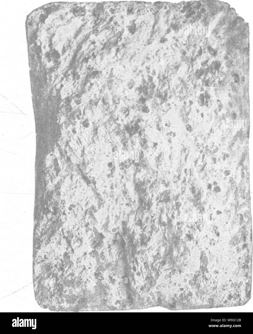 Immagine di archivio da pagina 89 di un trattato sulle rocce, rock-agenti atmosferici Foto Stock