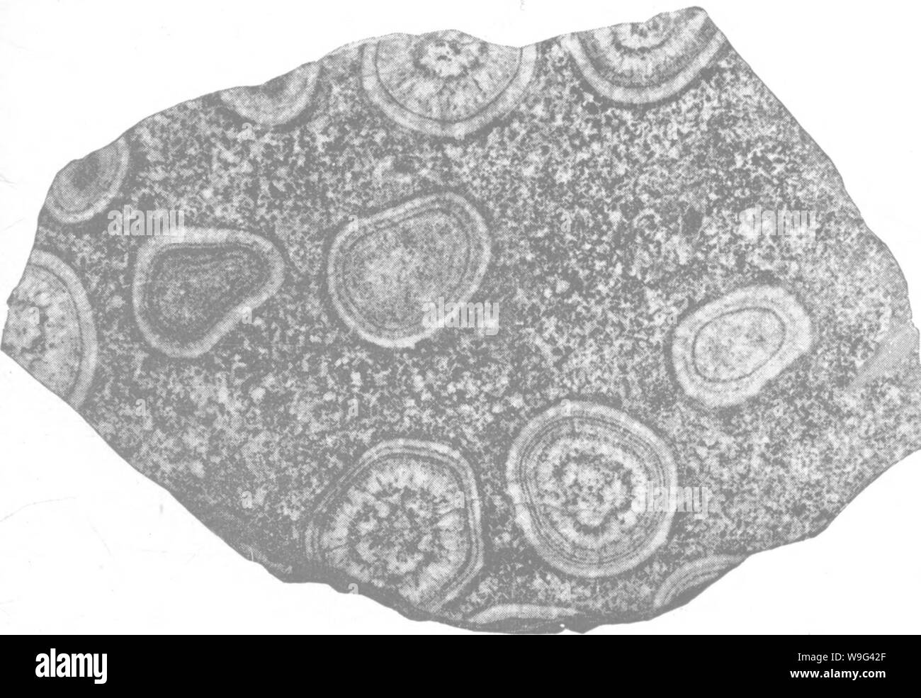 Immagine di archivio da pagina 106 di un trattato sulle rocce, rock-agenti atmosferici Foto Stock