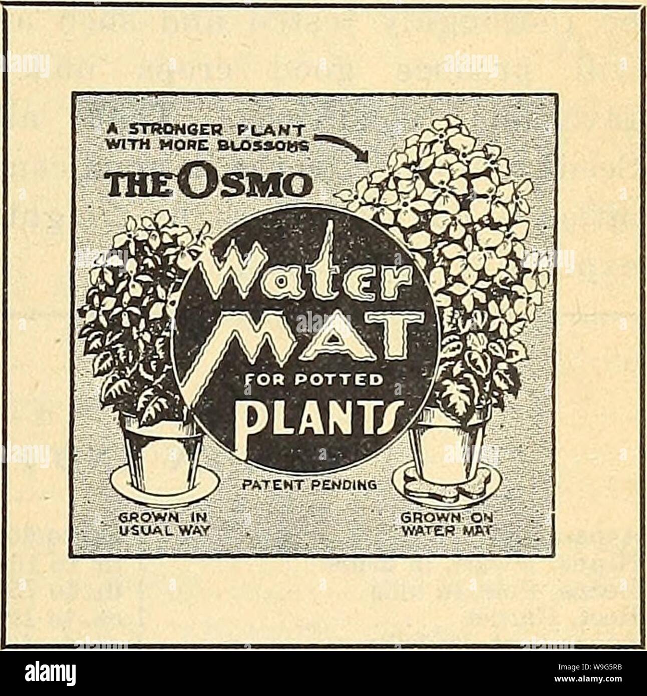 Immagine di archivio da pagina 118 di Currie del giardino della 63annuale rd. Currie del giardino : annuale 63rd anno primavera 1938 curriesgardenann19curr 4 Anno: 1938 ( scuotere la meraviglia della polvere sul terreno alla base di alberi, arbusti, aiuole, ecc. Mantiene i cani e i gatti di distanza. Un innocuo pow- der pronto per l'uso. ISc un pacchetto. Settori manifatturiero"ctuied da MELL-NOR, Ft. Wayne, Ind. mtatimVuM OSMO ACQUA-MAT è venduto in combinazione con una verde enam- eled piattino. Ogni combinazione è di cellophane wi'apped. 1 M.S.-piccole dimensioni, SVa. -$ .35 2 M.S.-di medie dimensioni, 4,5 in. .40 3 M.S.-di grandi dimensioni, 6 in .50 4 M.S.-Extra large, 10 in.   1,25 OSMO ACQUA Foto Stock