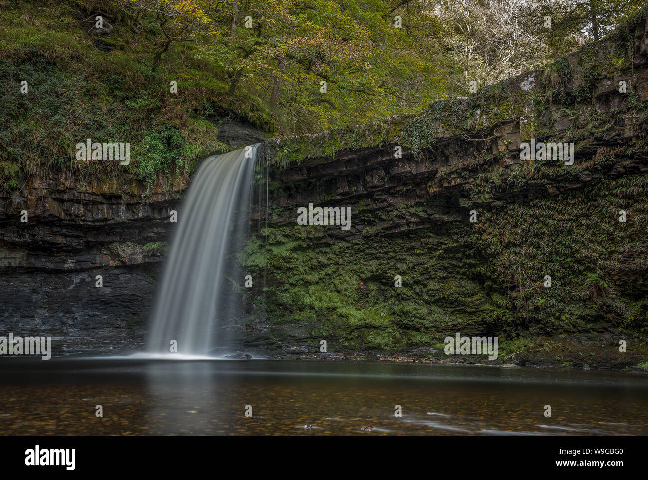Immersione lunga esposizione cascata shot circondato da foresta e caduta colori di verde e giallo, Brecon Beacons, Galles Foto Stock