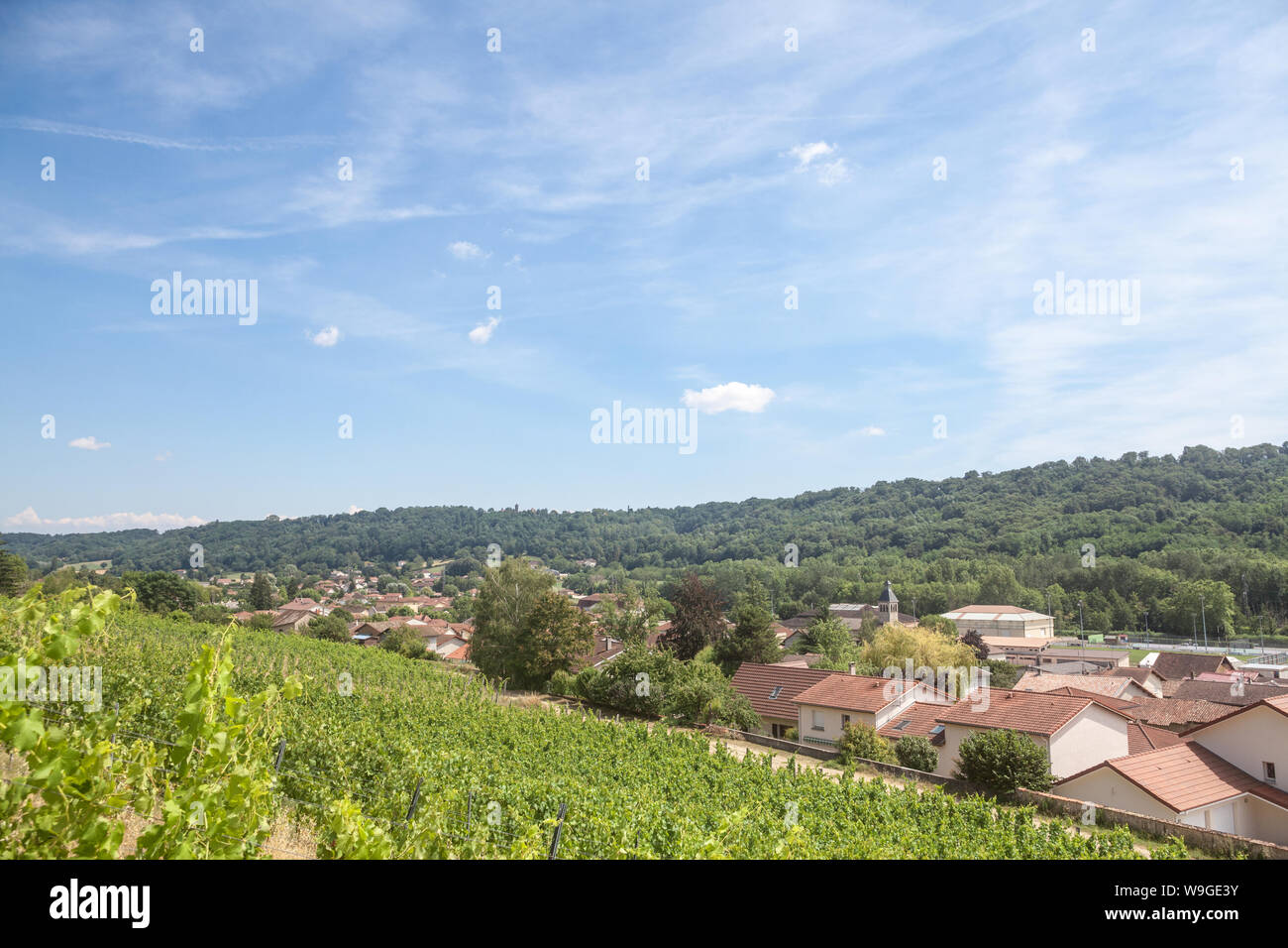 Panorama di Saint Savin, piccolo villaggio francese di Isere, il Dauphine provincia, medievale con la chiesa cattolica & altro edificio storico visto da th Foto Stock