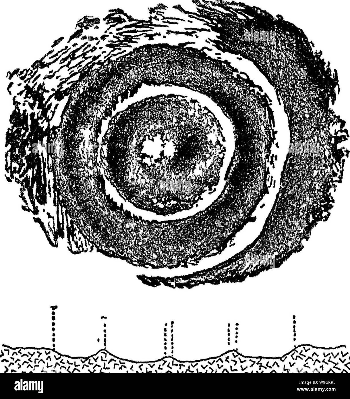 Immagine di archivio da pagina 274 di un trattato sulle rocce, rock-agenti atmosferici Foto Stock
