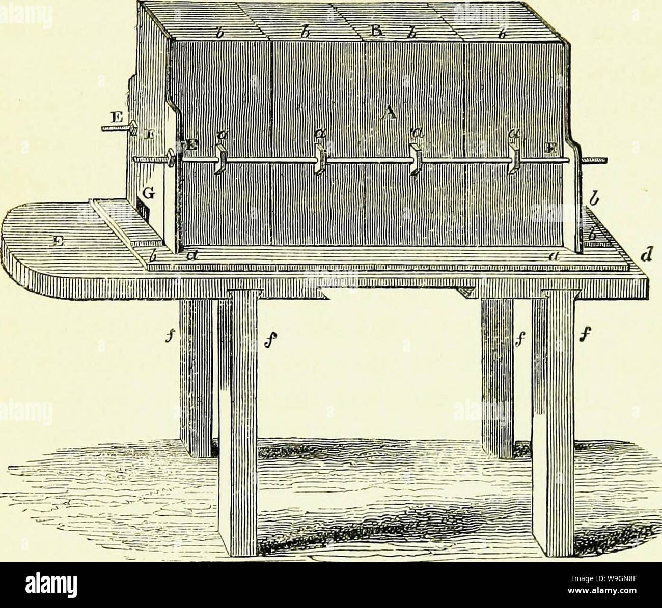 Immagine di archivio da pagina 298 di api la loro storia naturale e Foto Stock