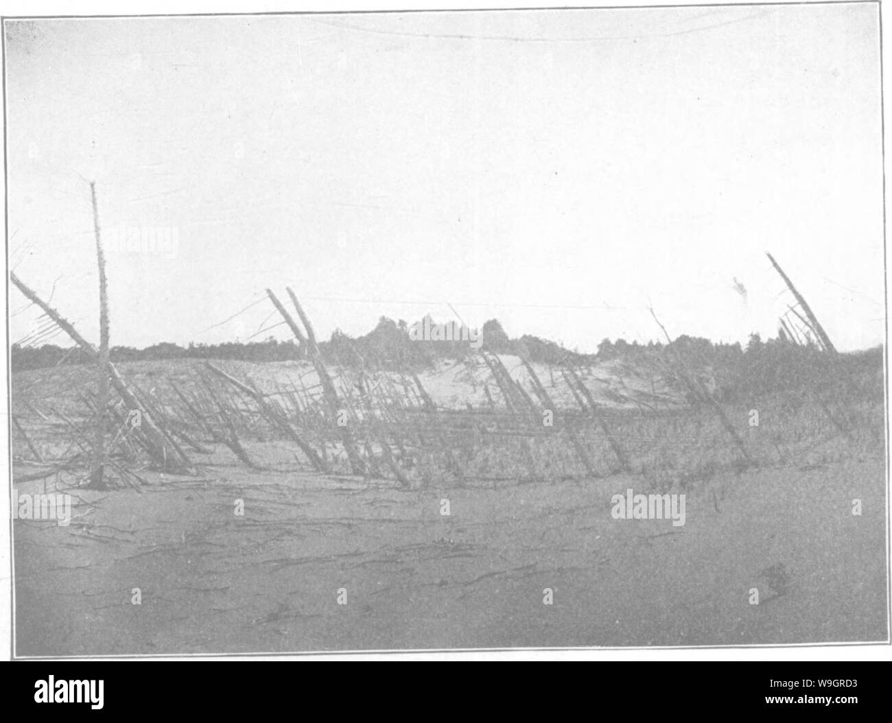 Immagine di archivio da pagina 329 di un trattato sulle rocce, rock-agenti atmosferici Foto Stock
