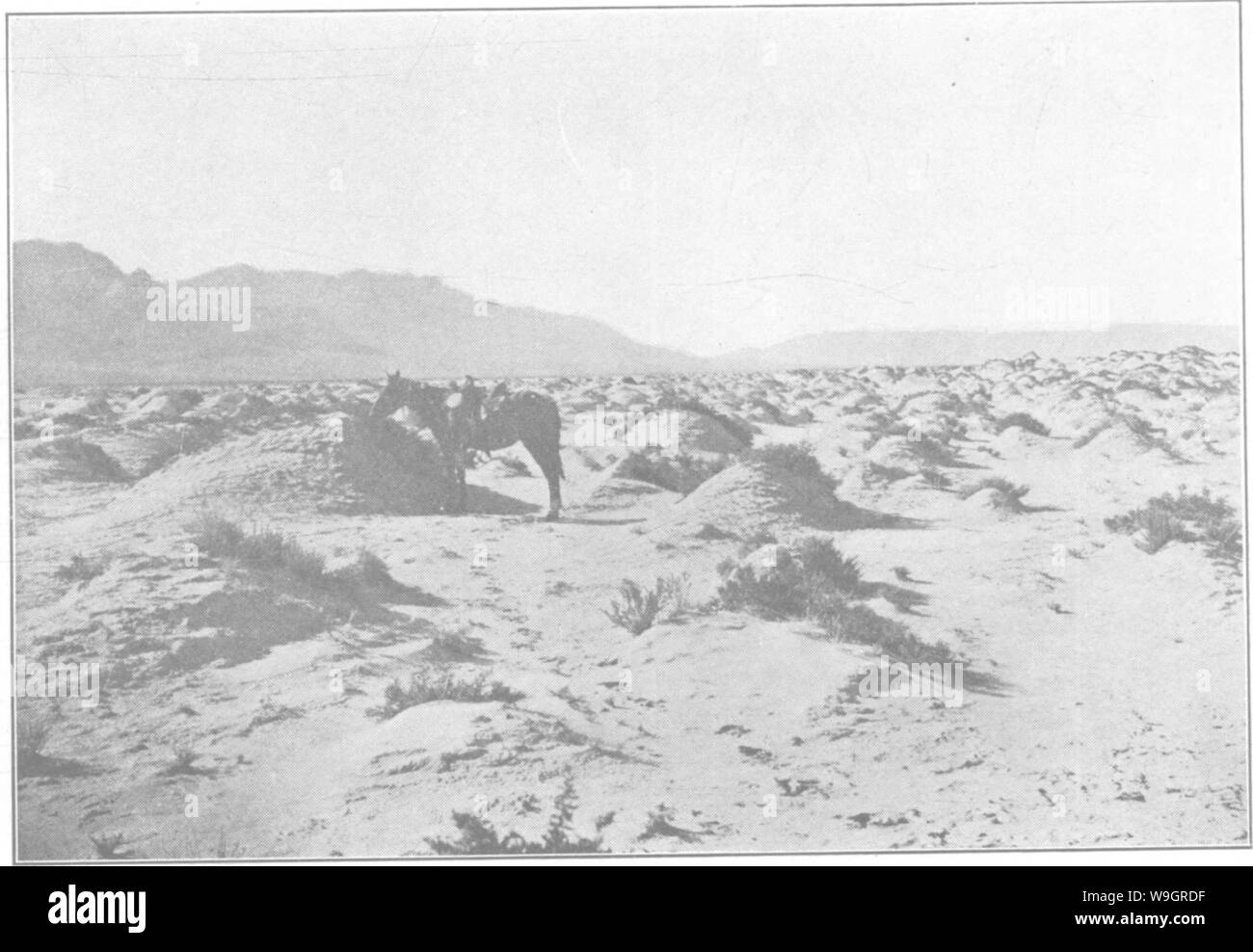 Immagine di archivio da pagina 329 di un trattato sulle rocce, rock-agenti atmosferici Foto Stock