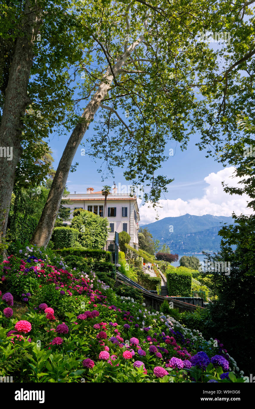 Villa Carlotta & Giardino Botanico, Tremezzo, Lago di Como, Italia Foto Stock