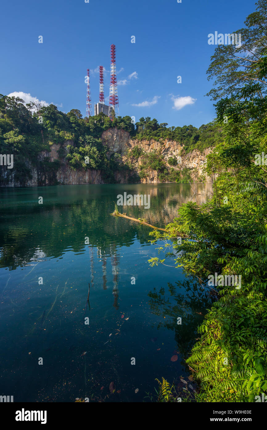 Vista verticale del Parco naturale di Hindhede per vedere le torri di trasmissione del paesaggio e la cava naturale di Singapore. Foto Stock