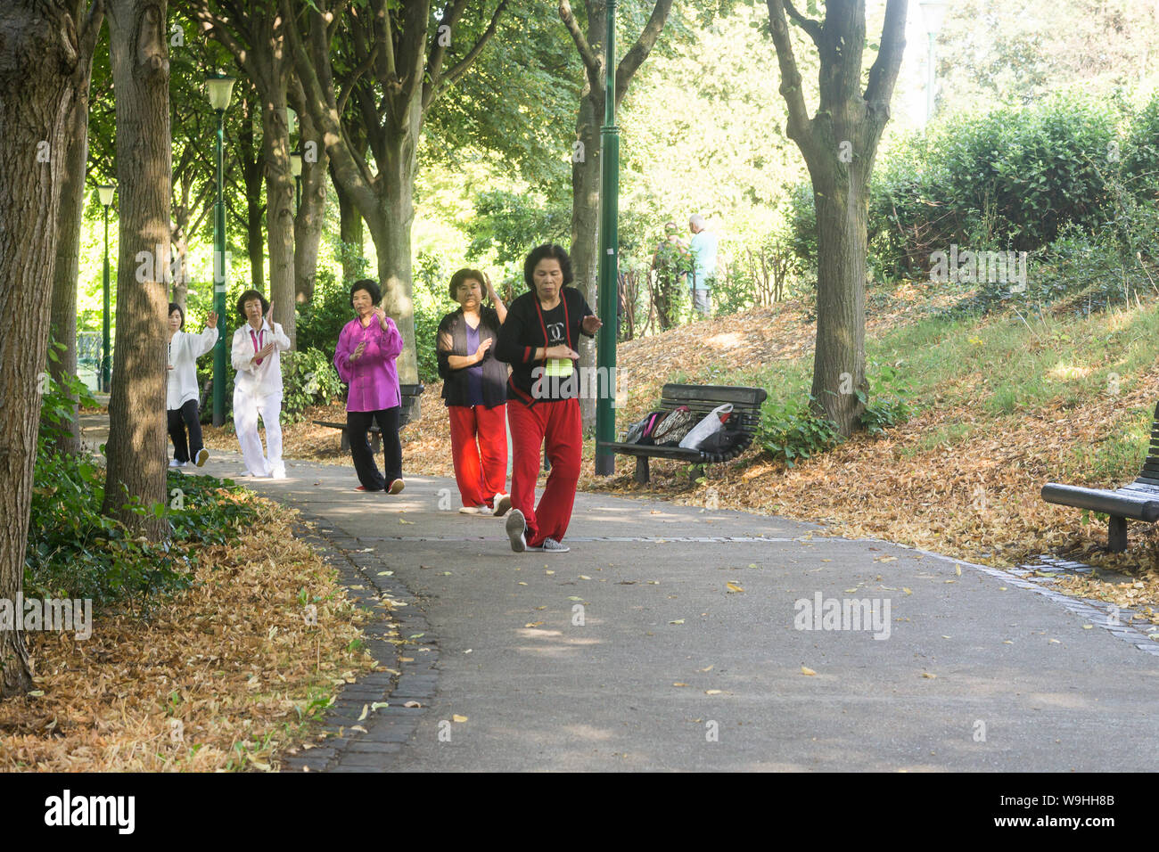 Tai chi nel parco - donne asiatiche praticare il tai chi nel parco di Belleville nel Ventesimo arrondissement di Parigi, in Francia, in Europa. Foto Stock