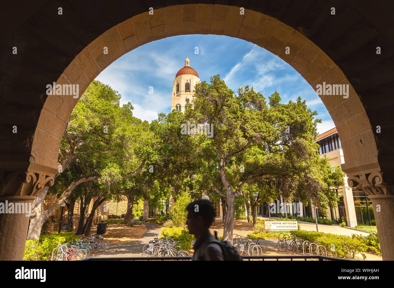 Stanford University campus, con la torre di Hoover in background, Palo Alto, California Foto Stock