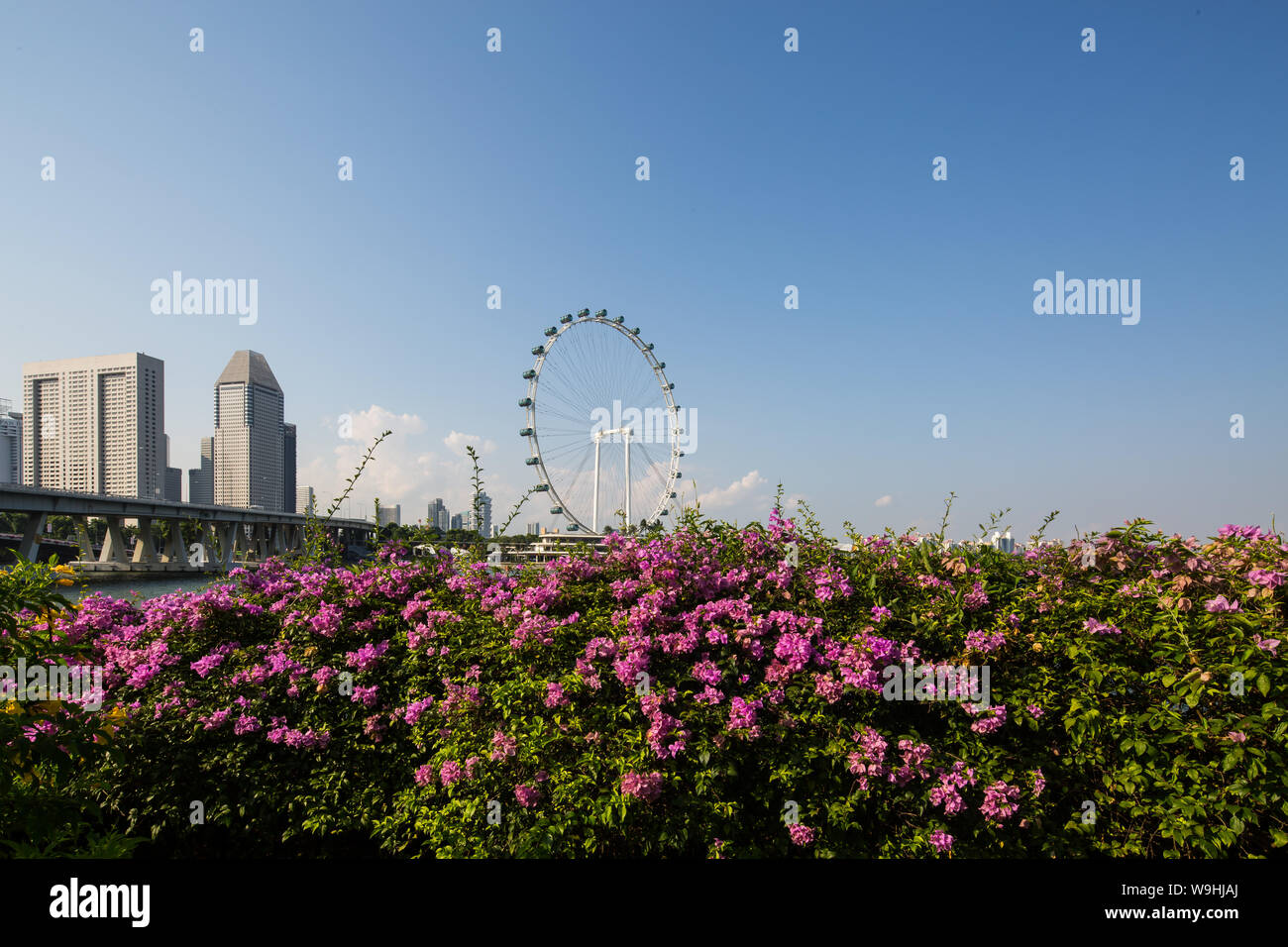 La ruota di osservazione o comunemente conosciuta come Singapore Flyer è una destinazione popolare per i turisti e la gente del posto, Singapore. Foto Stock