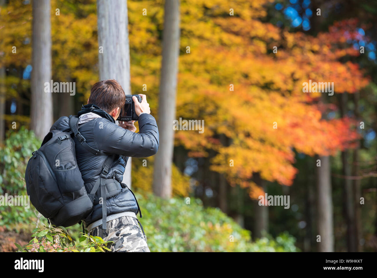Fotografo di paesaggio prendere la vista del paesaggio di acero colorato lasciare con il cielo sereno a Kyoto, Giappone. Foto Stock