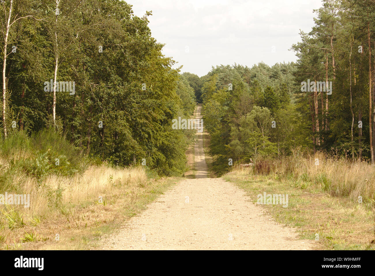 Broxbourne paesaggio Foto Stock