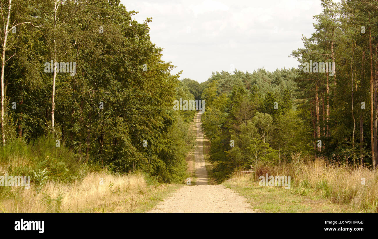 Broxbourne paesaggio Foto Stock