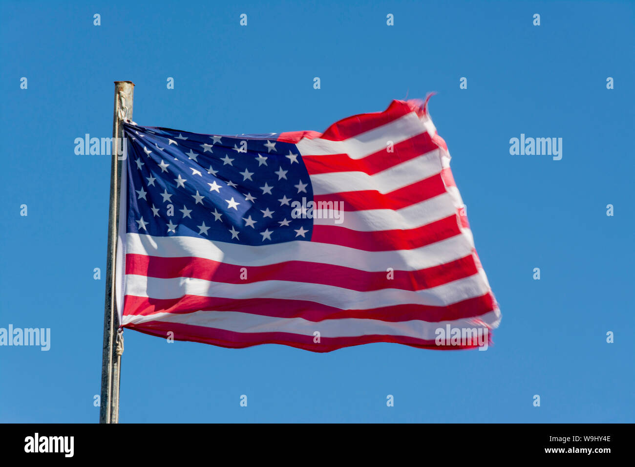 Bandiera americana Foto Stock