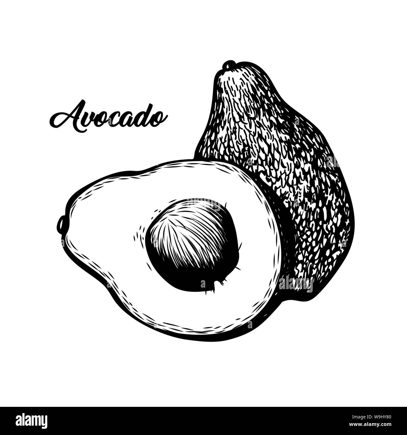 Avocado in bianco e nero illustrazione vettoriale. La frutta esotica, il delizioso mangiare tropicale con caratteri. Dolce dessert vegan, succo naturale ingrediente penna a inchiostro di disegno. Vitamina dieta banner elemento di design Illustrazione Vettoriale