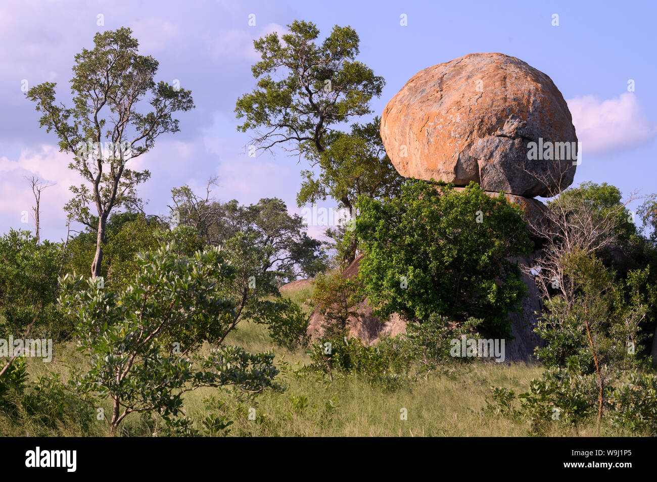 Africa Africa meridionale, Africa, nord-est, il Parco Nazionale Kruger, 30074449.Caption locale in Africa, nell'Africa meridionale, Africa, nord-est, Foto Stock