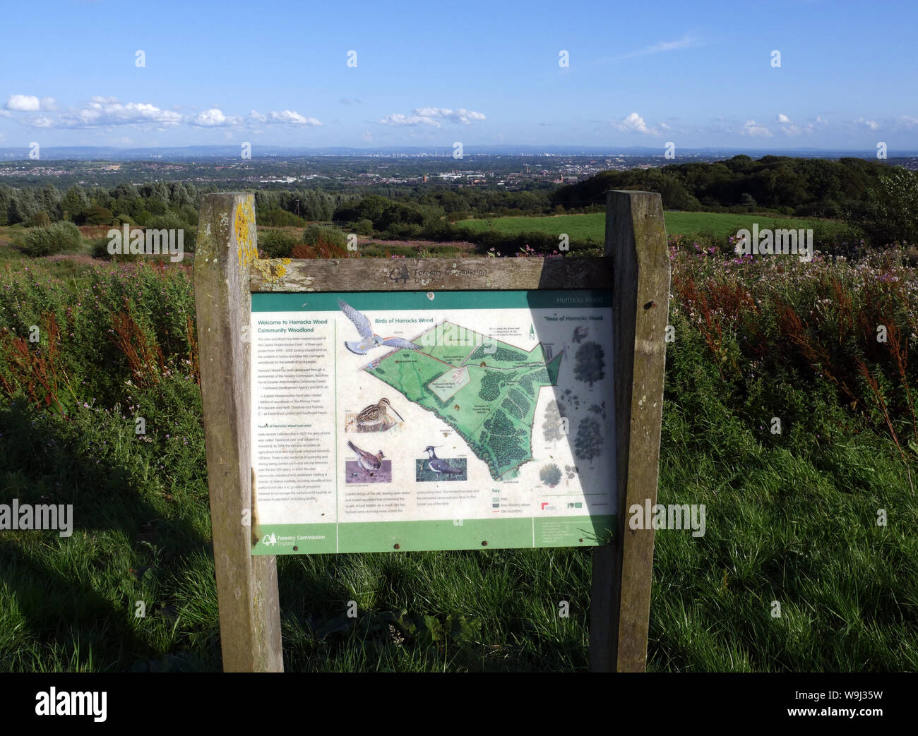 Commissione forestale Inghilterra firmano illustrante gli alberi degli uccelli e della fauna selvatica del Horrocks legno bosco comunitario, Bolton & Manchester a distanza Foto Stock