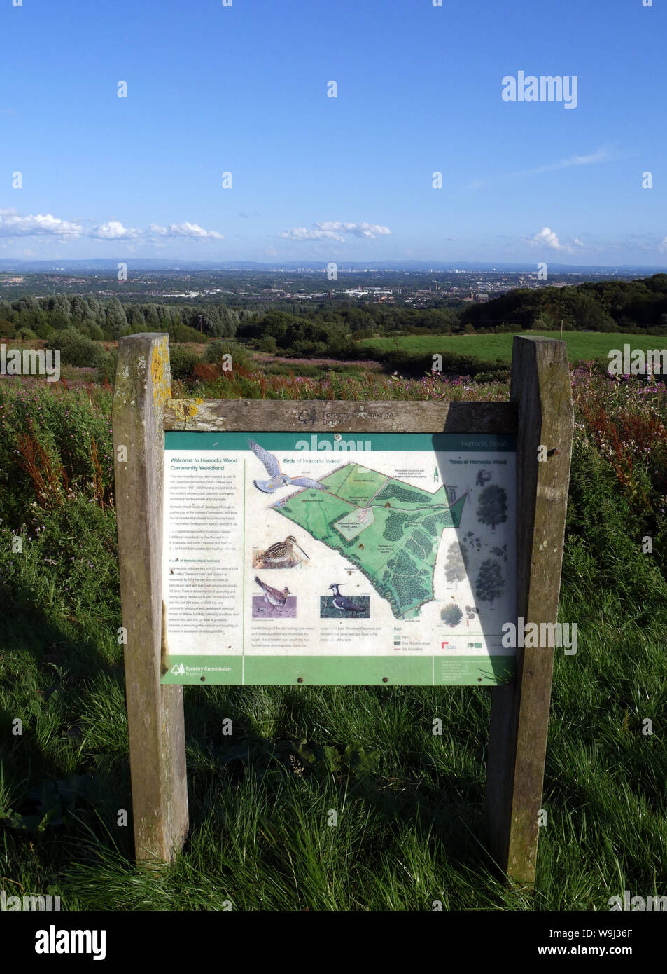 Commissione forestale Inghilterra firmano illustrante gli alberi degli uccelli e della fauna selvatica del Horrocks legno bosco comunitario, Bolton & Manchester a distanza Foto Stock