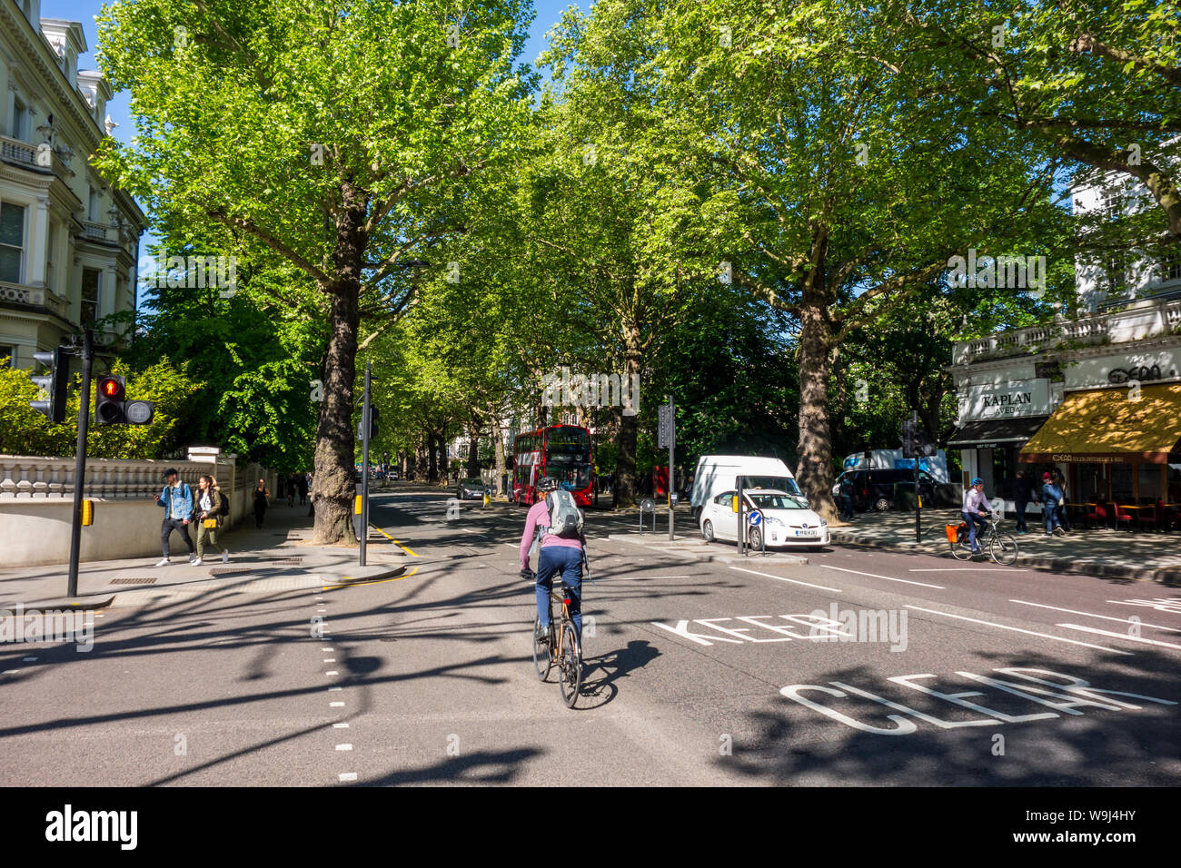 Il traffico sul viale alberato di Holland Park Avenue, Royal Borough di Kensington e Chelsea, London, Regno Unito - Holland Park Avenue London Foto Stock