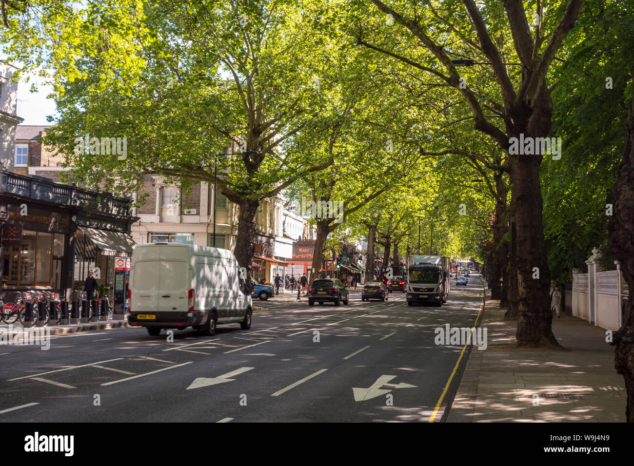 Il traffico sul viale alberato di Holland Park Avenue, Royal Borough di Kensington e Chelsea, London, Regno Unito - Holland Park Avenue London Foto Stock