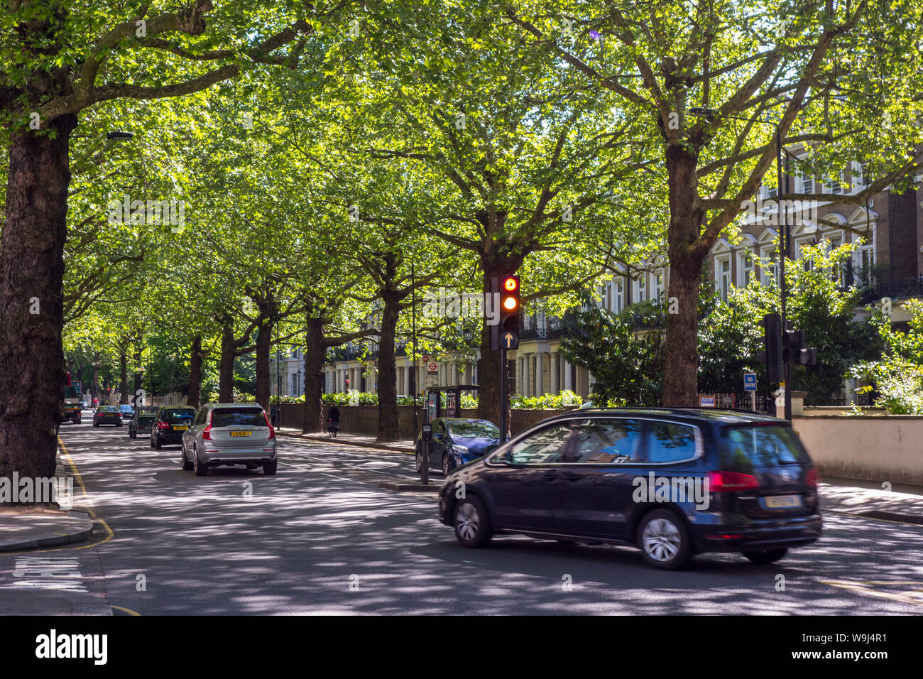 Il traffico sul viale alberato di Holland Park Avenue, Royal Borough di Kensington e Chelsea, London, Regno Unito - Holland Park Avenue London Foto Stock