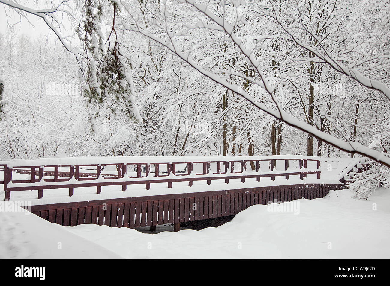 Inverno in legno ponte browm nella foresta Foto Stock