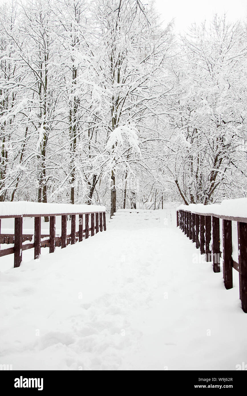 Inverno in legno ponte browm nella foresta Foto Stock