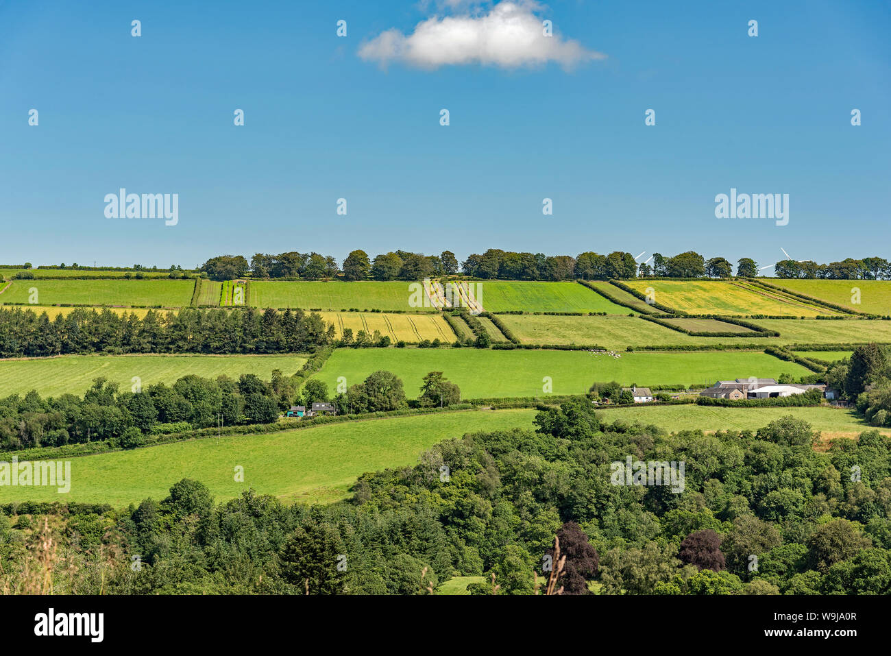 Farmland viste in Scozia. Foto Stock