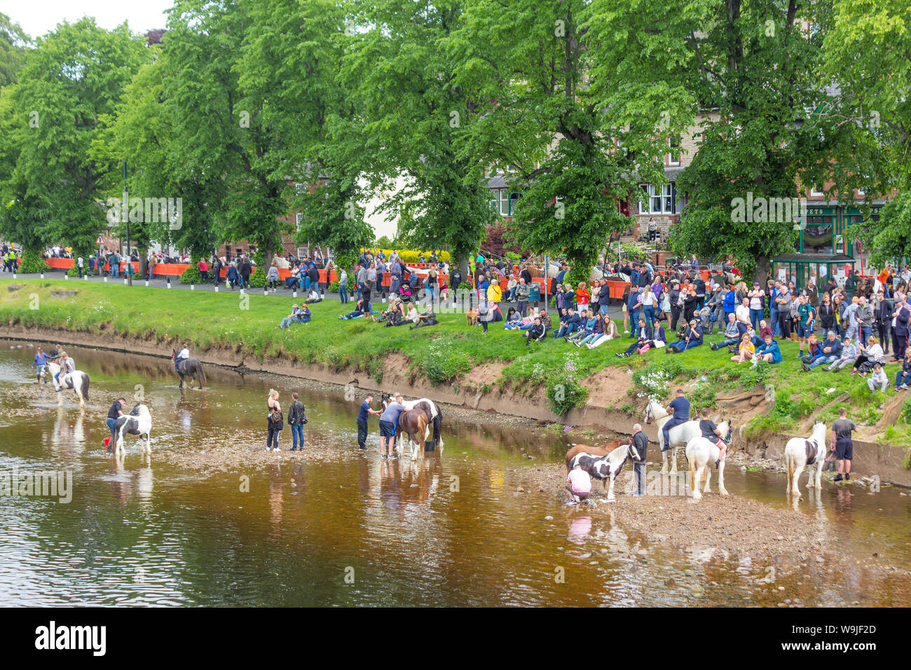 Appleby-in-Westmoreland, Cumbria, Inghilterra. Il Appleby Horse Fair, un incontro annuale di zingari e nomadi e i loro cavalli. Foto Stock