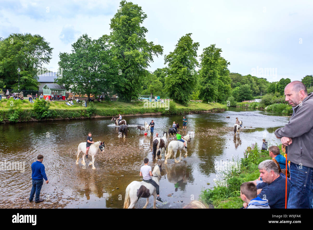 Appleby-in-Westmoreland, Cumbria, Inghilterra. Il Appleby Horse Fair, un incontro annuale di zingari e nomadi e i loro cavalli. Foto Stock