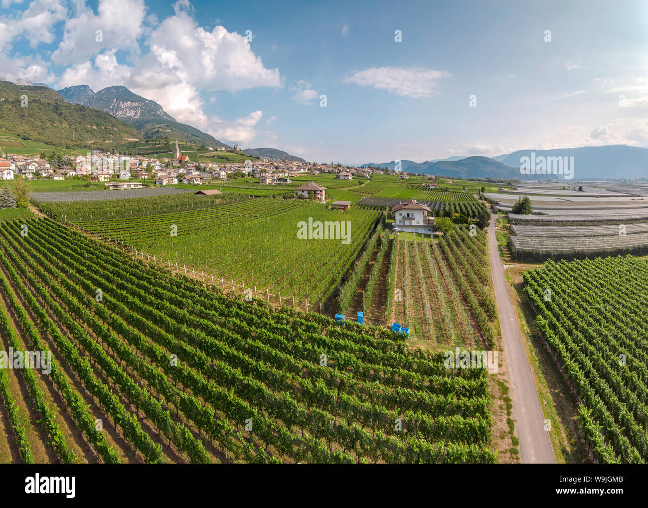 Vista in un villaggio e i suoi vigneti, Tramin an der Weinstrasse - Termeno sulla strada del vino, , Südtirol - Alto Adige, Italia, 30071333 *** C locale Foto Stock