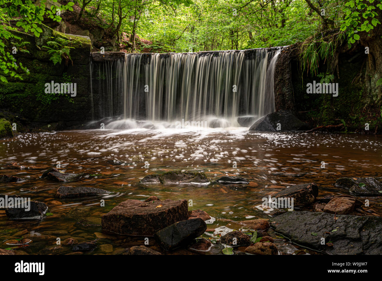 Una lunga esposizione di una piccola cascata a Kynpersley serbatoio in una zona appartata Glen. Vivace e lussureggiante verde smeraldo di alberi, felci e foglie, con coperte di muschio r Foto Stock