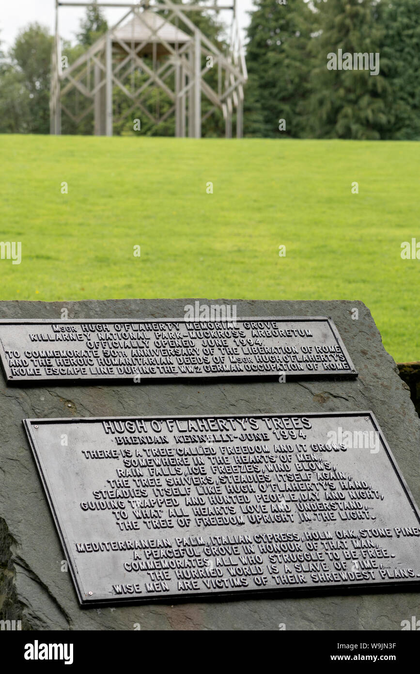 Monsignor Hugh o'Flaherty targa commemorativa e boschetto commemorativo nel Muckross Arboretum Killarney National Park, County Kerry, Irlanda. Foto Stock