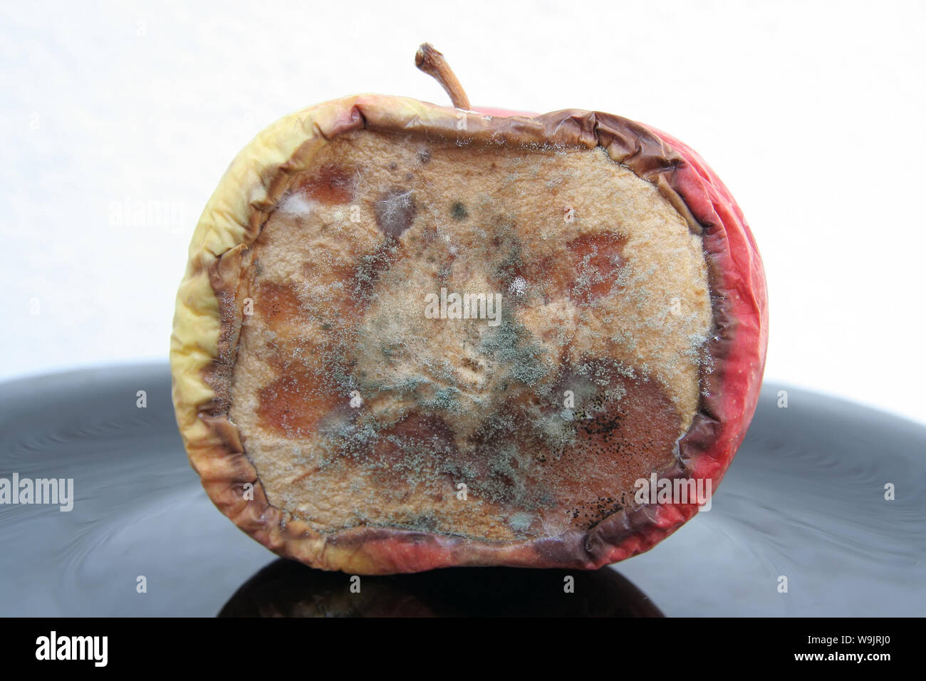 Apple ammuffito. Bad Apple. Bad frutta. Frutta marcia. Mela marcia. Foto Stock