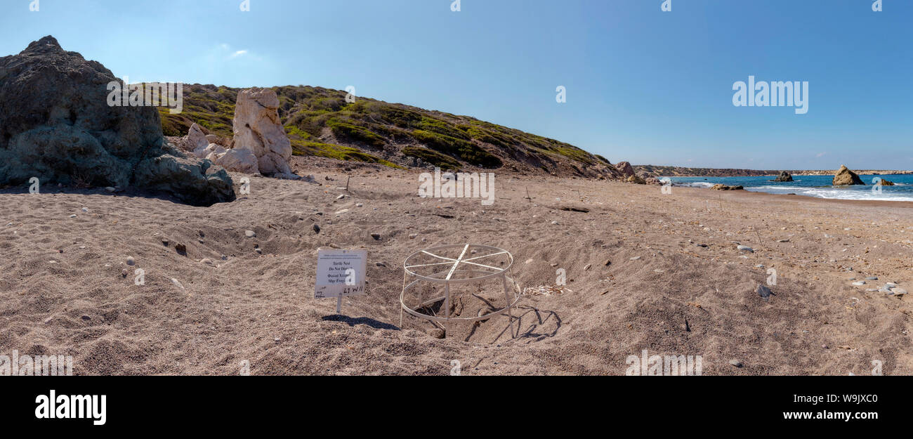 Turtle Nest protezione su Lara Beach, penisola di Akamas National Park, Cipro, Cipro, 30070191 Foto Stock
